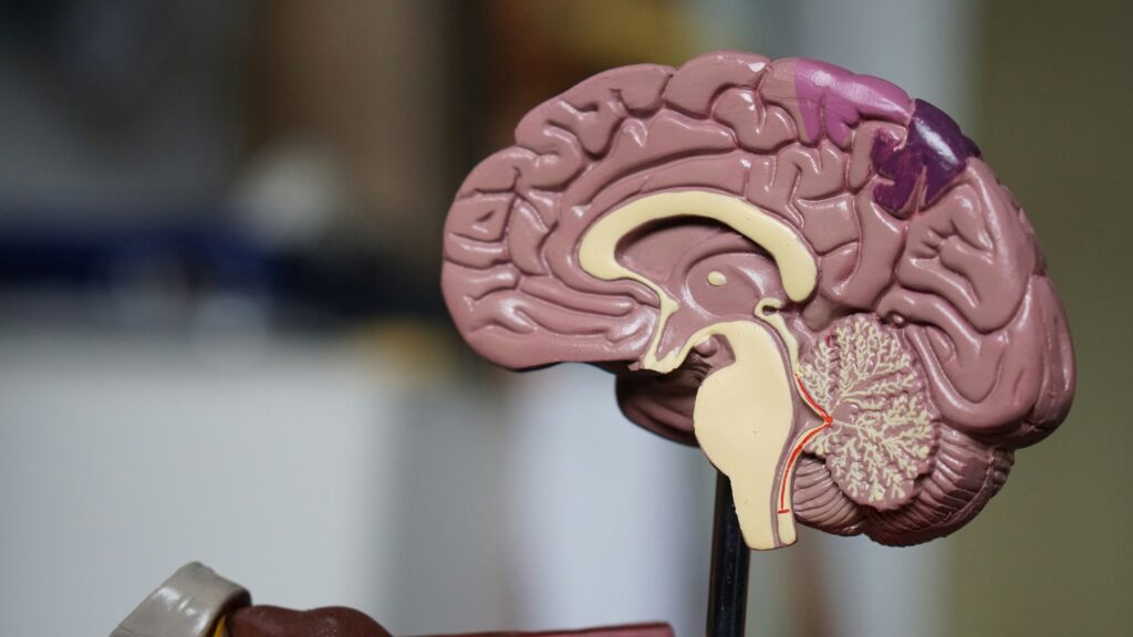 secrétaire médicale - découvrez les compétences nécessaires et les tâches quotidiennes d'un secrétaire médical dans le domaine médical.