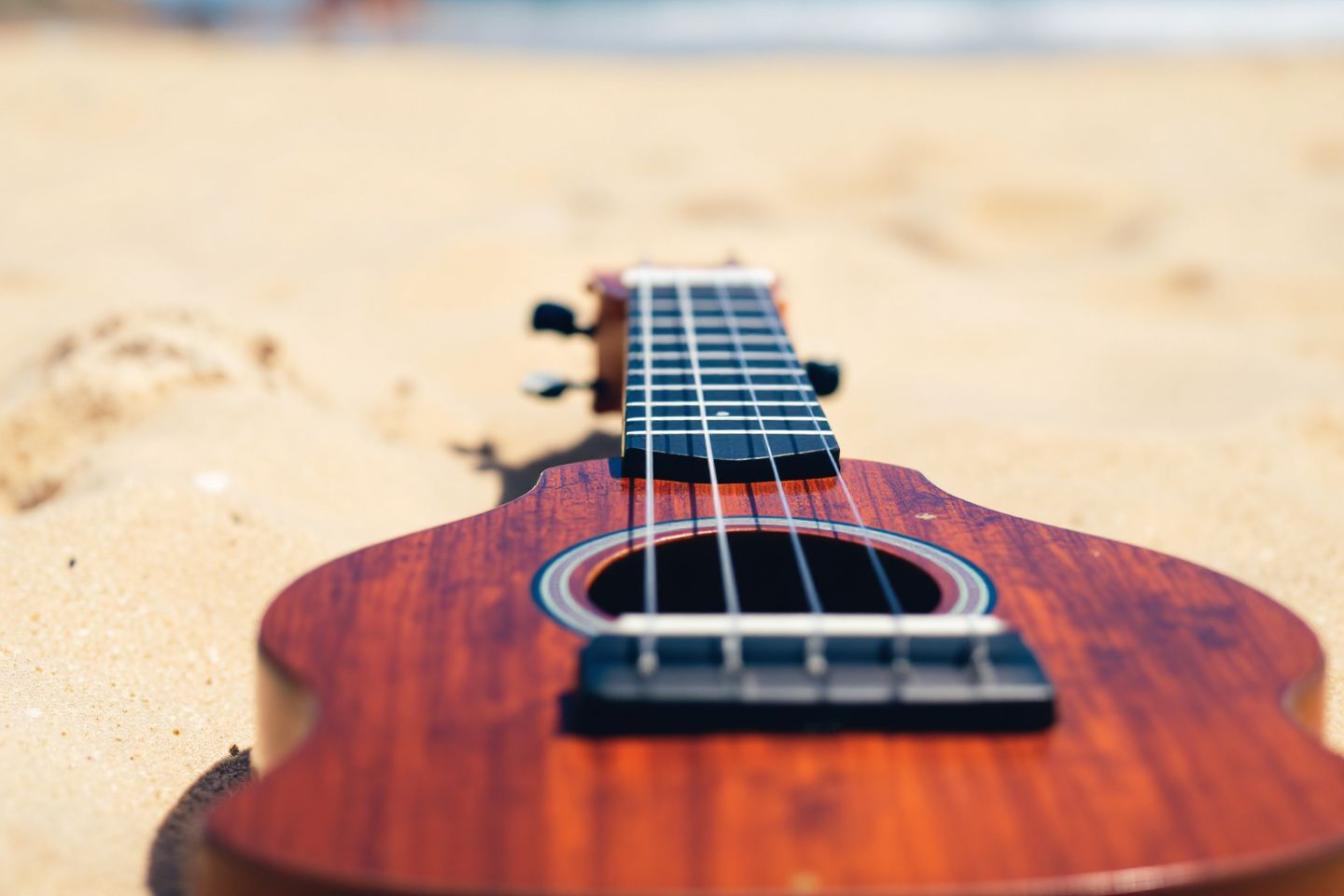 Quels instruments de musique sont faciles à apprendre ?