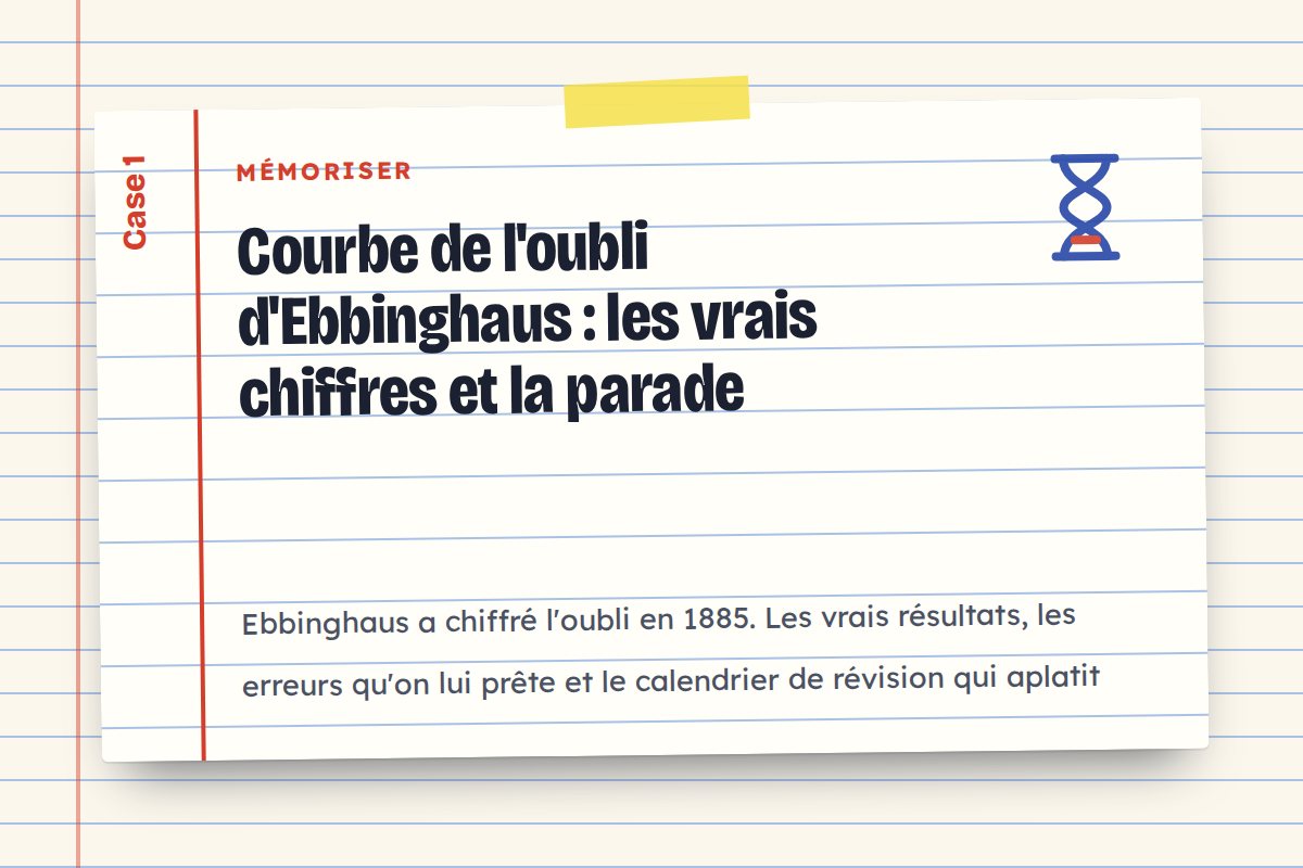 Courbe de l'oubli d'Ebbinghaus : les vrais chiffres et la parade