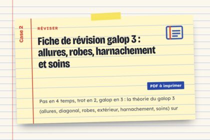 Fiche de révision galop 3 : allures, robes, harnachement et soins