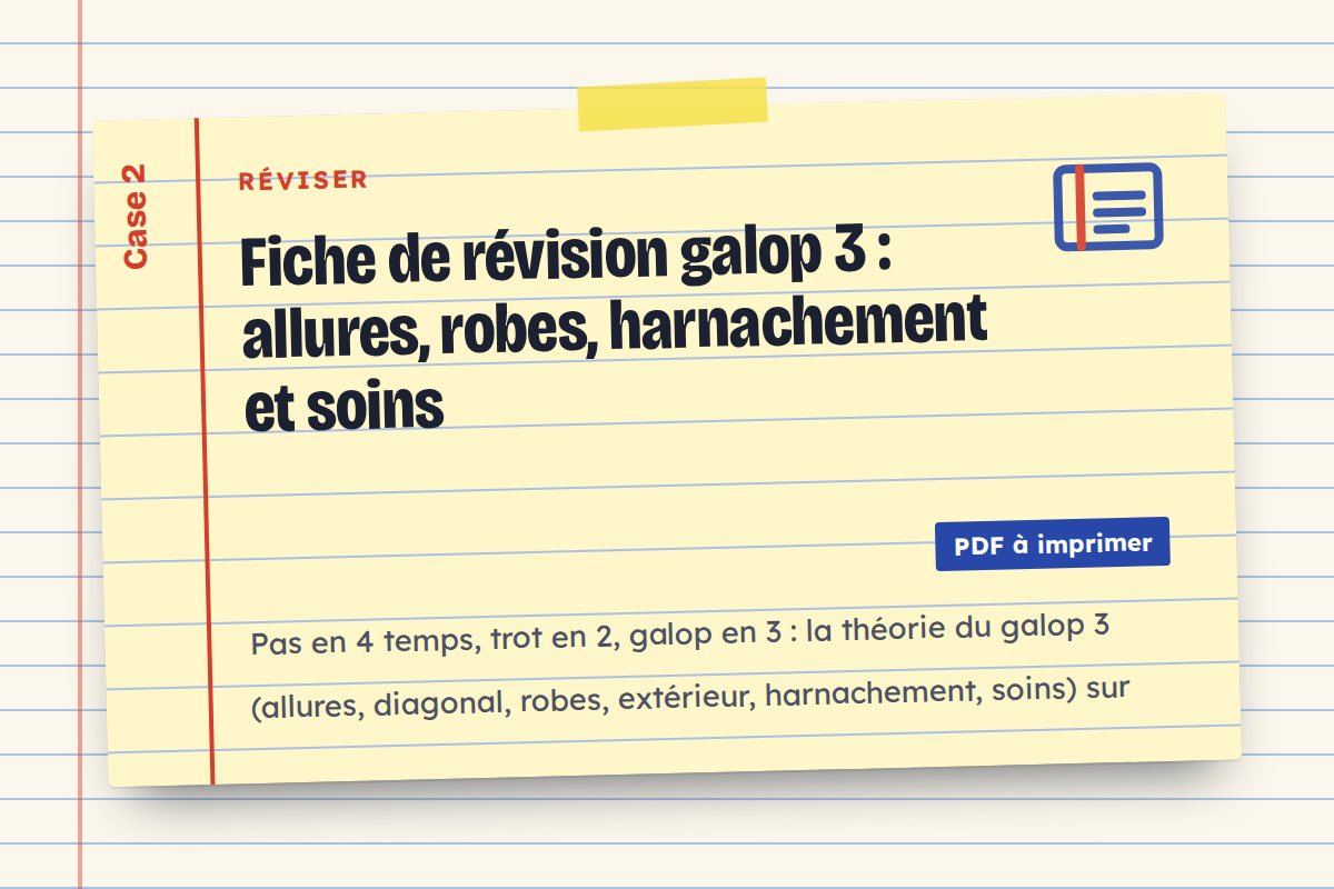 Fiche de révision galop 3 : allures, robes, harnachement et soins