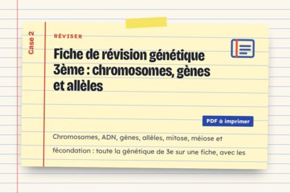 Fiche de révision génétique 3ème : chromosomes, gènes et allèles