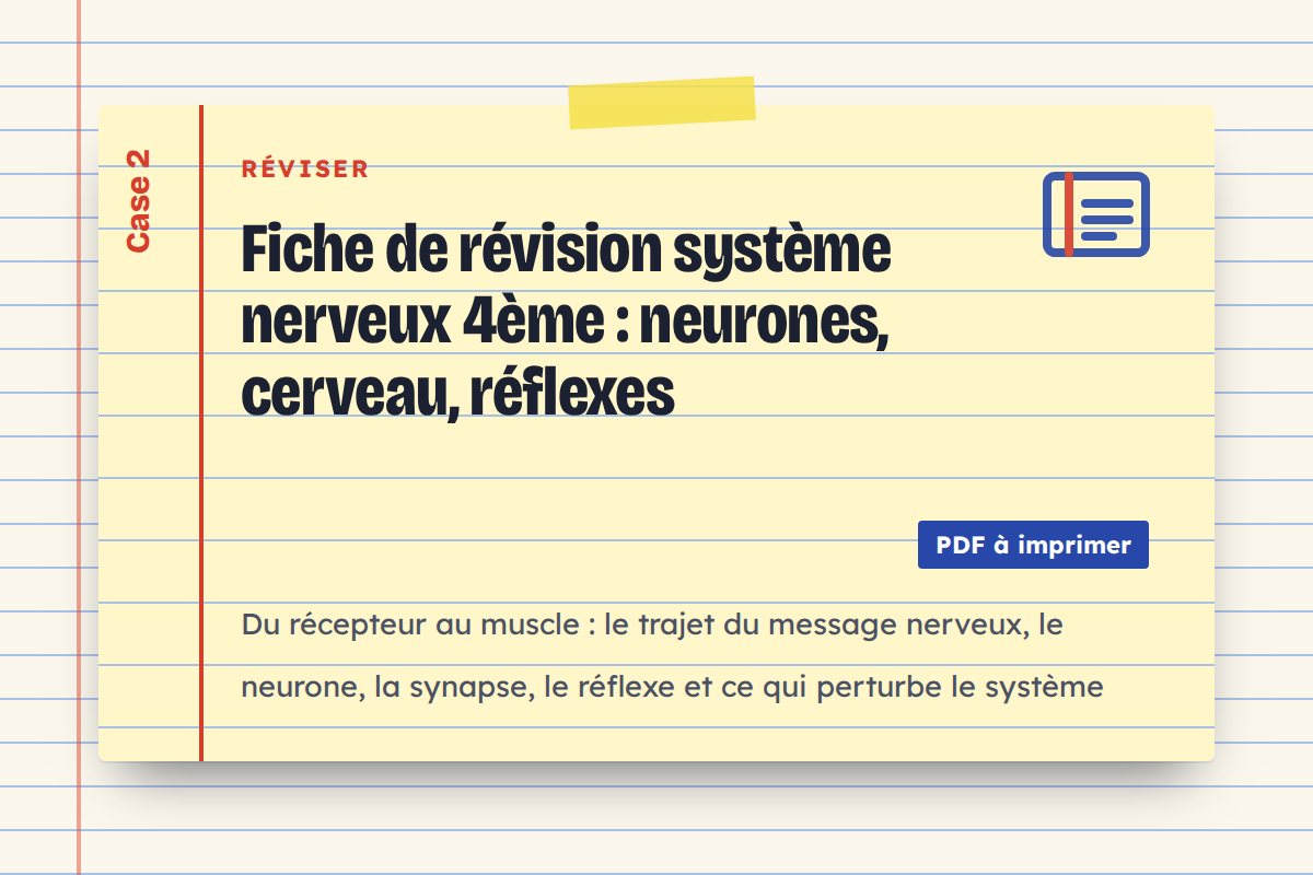 Fiche de révision système nerveux 4ème : neurones, cerveau, réflexes