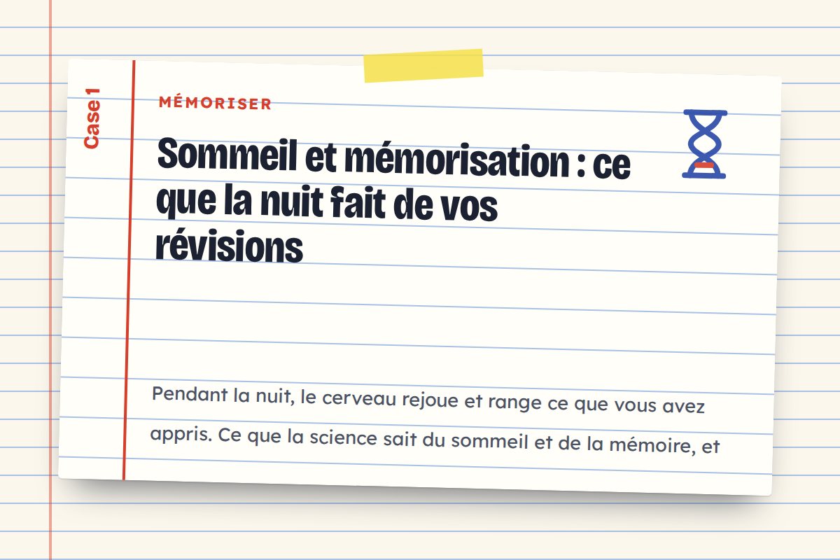 Sommeil et mémorisation : ce que la nuit fait de vos révisions